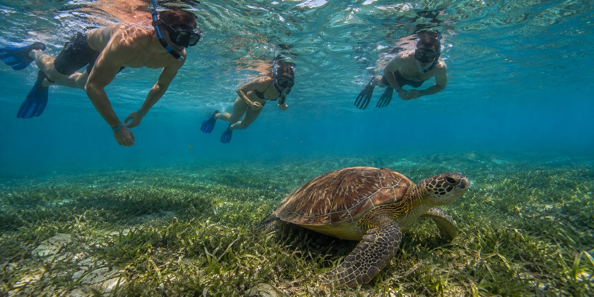 Calm clear water of Yal-Ku Lagoon near Akumal, a sheltered snorkeling spot known for fish rather than turtles