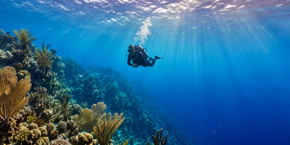 Diving in Cozumel: What First-Timers and Certified Divers Should Know