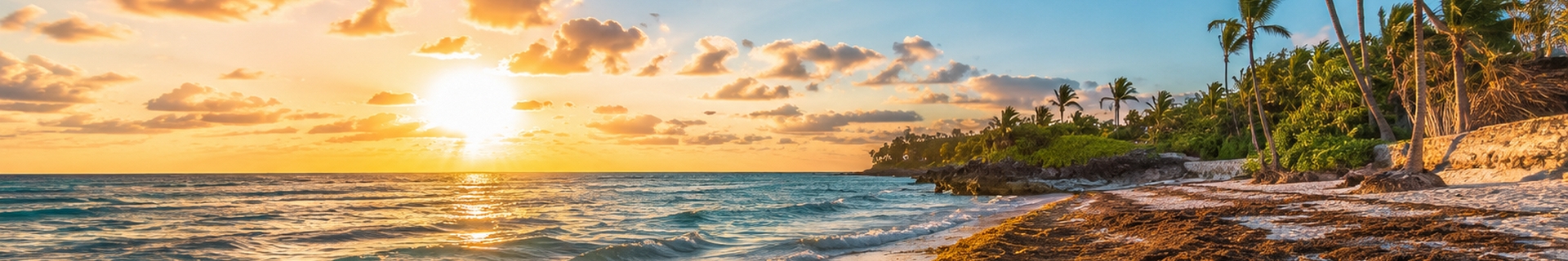 Sargassum washed along a Mexican Caribbean beach, illustrating how coastal geography affects hotel choice in 2026