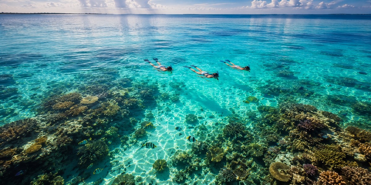 Snorkelers over a shallow Caribbean reef near Cancun, a wild alternative to a dolphin swim