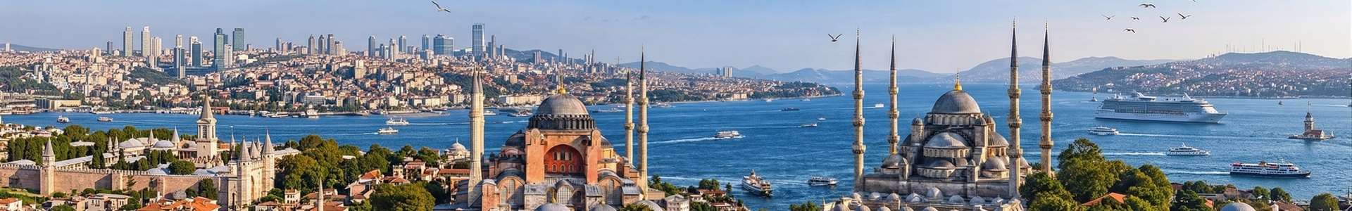 Istanbul skyline and historic neighborhoods at sunset