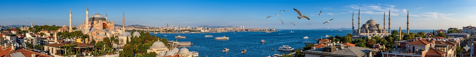 Istanbul Bosphorus and historic skyline for a hotel area guide